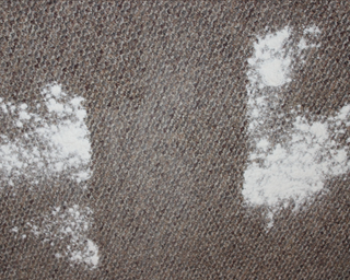 A pile of flour separated by a clean line from being vacuumed by the Dyson Ball Animal 3