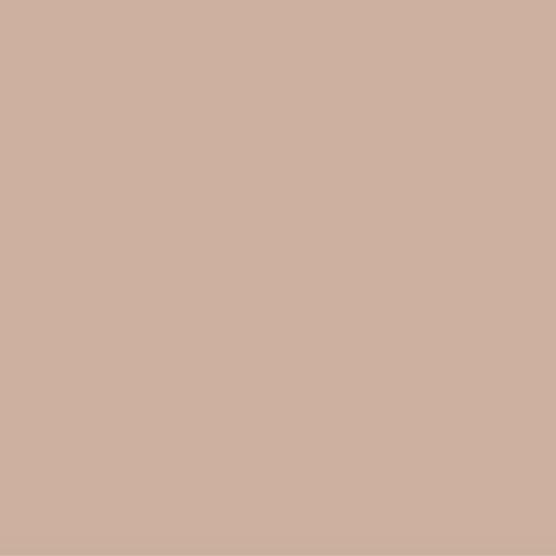 plaster pink paint swatch