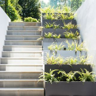 garden with stairs and planting set in large steps