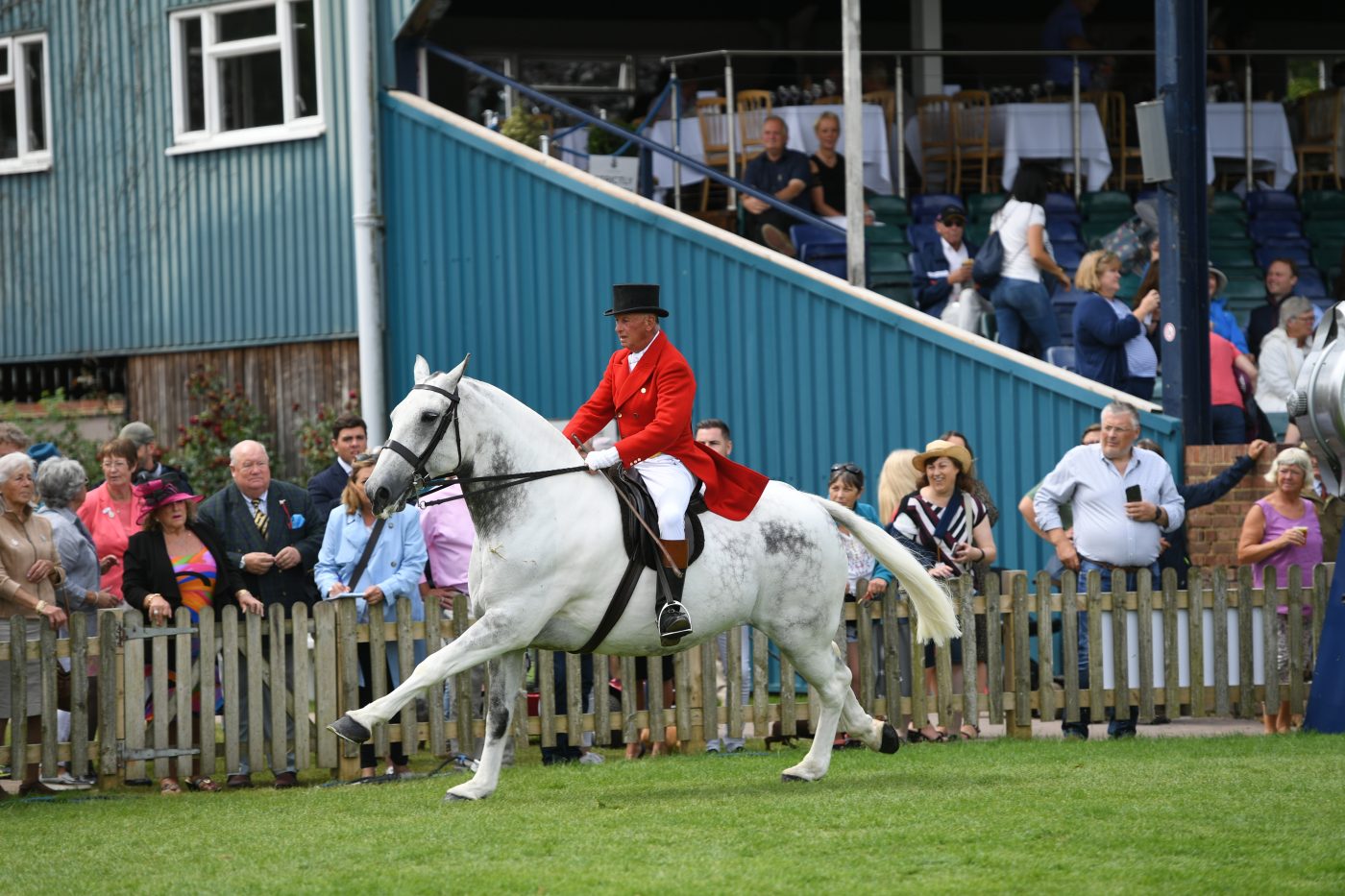 OUR-CASHEL-BLUE_RIHS_PN19_44607_327373821_535223072-e1573474593332.jpg