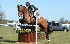 Simon-Grieve-HorseNo805_Belton15pn_7285.jpg