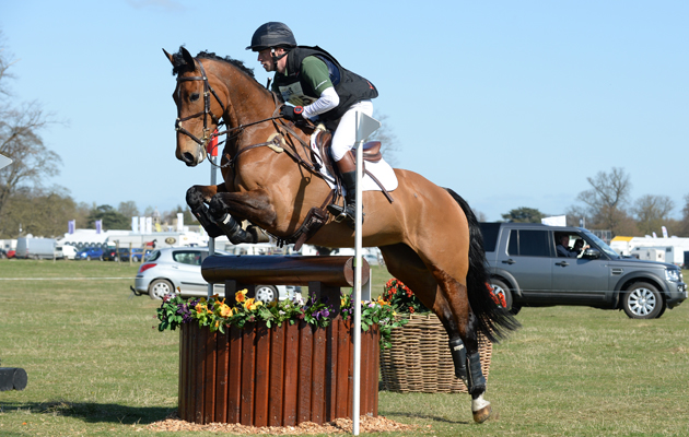 Simon-Grieve-HorseNo805_Belton15pn_7285.jpg