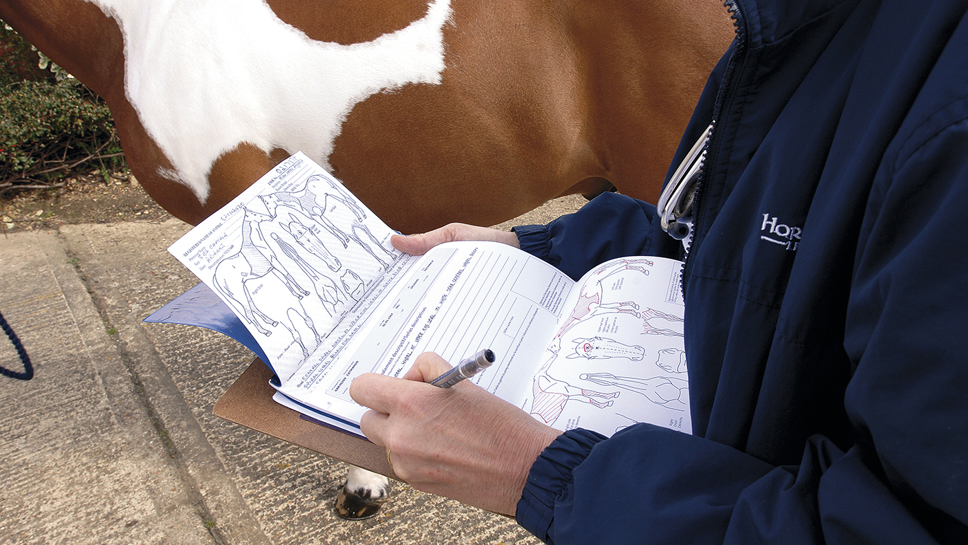 vetting a horse with paperwork and passport forms