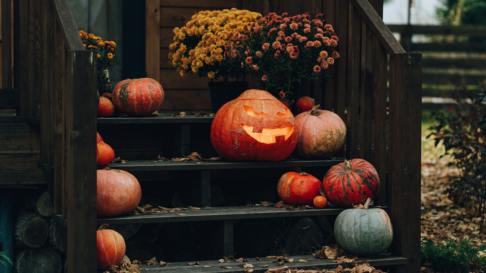 Chrysanthemums in a spooky porch display alongside carved Halloween pumpkins