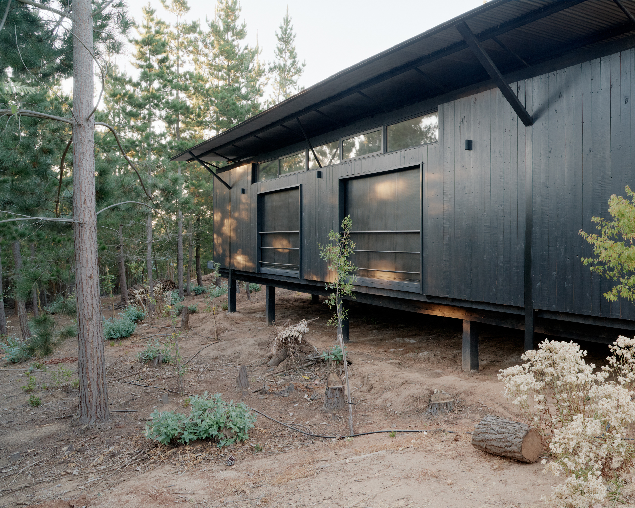 Dharq Arquitectos