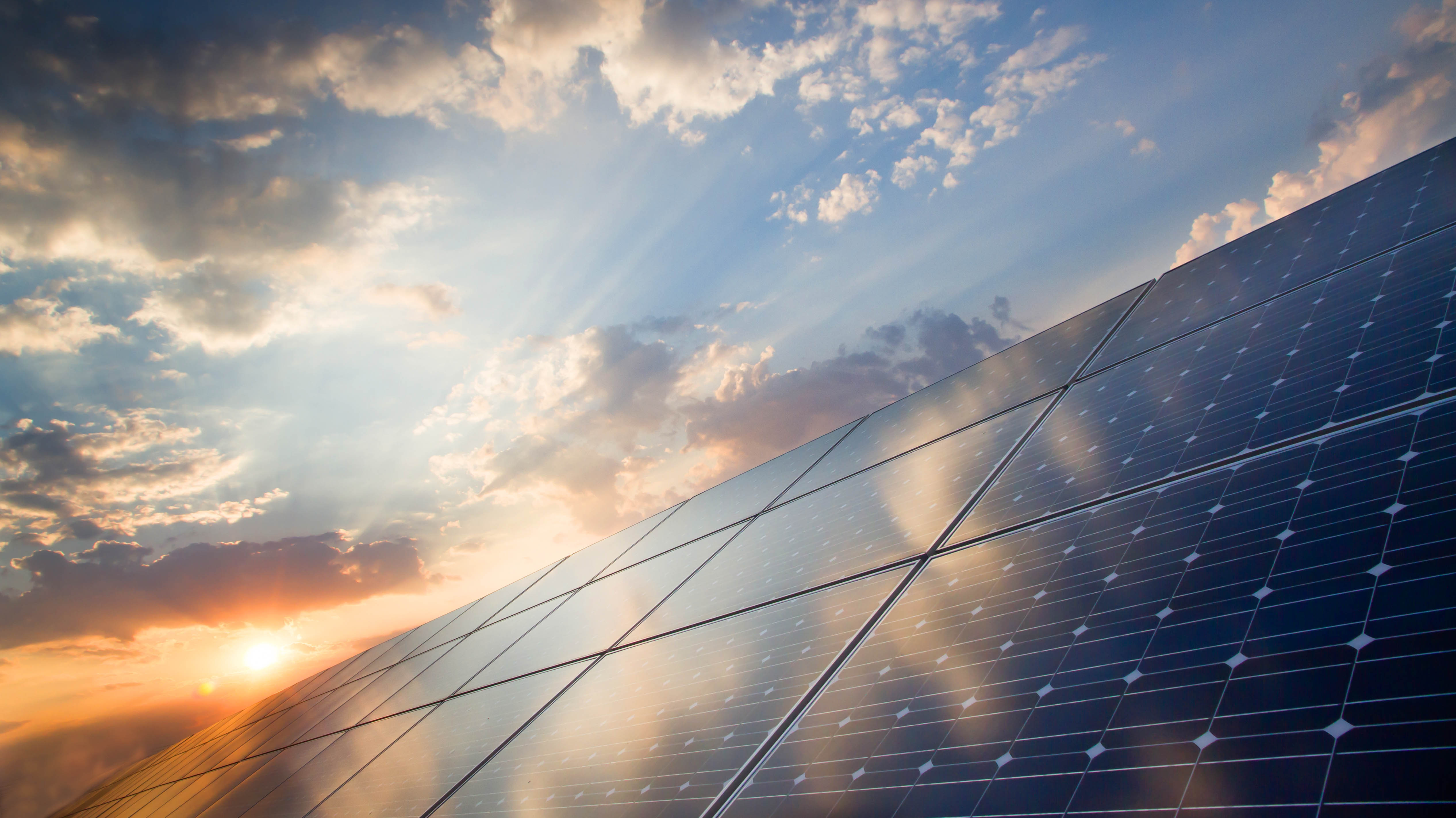 Solar panels reflecting daylight