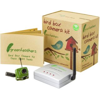Green Feathers budget bird camera
