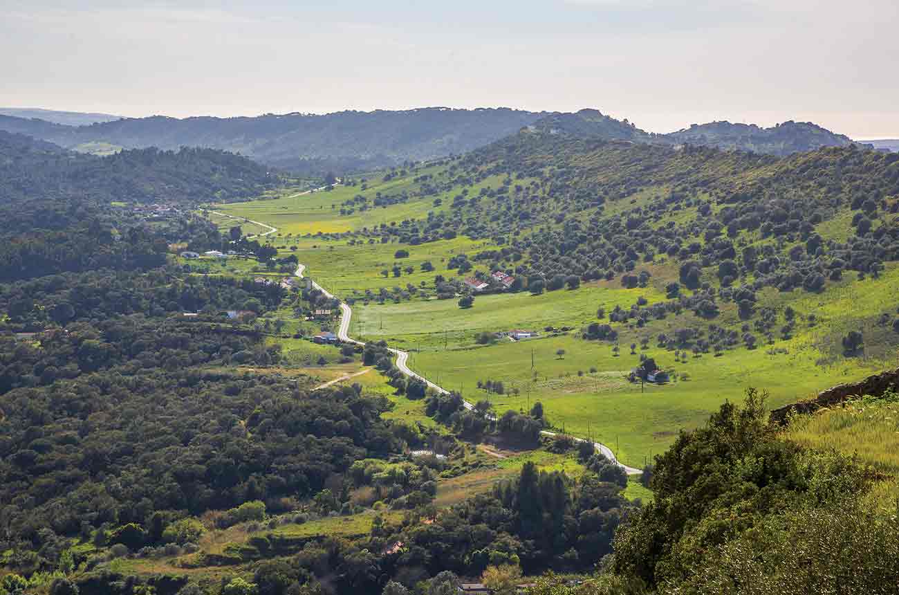 Valley in Set&uacute;bal Peninsula, Portugal