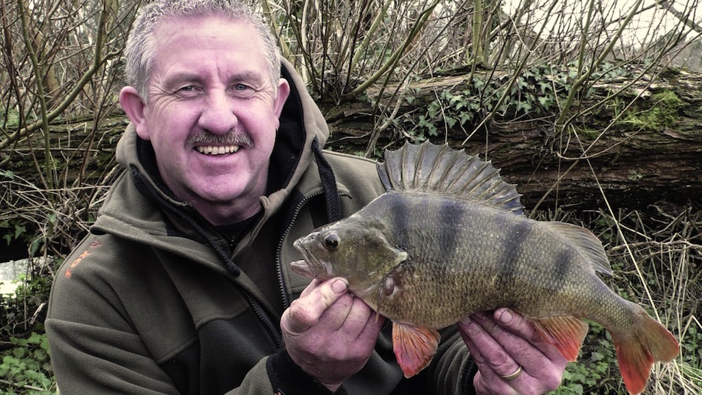 Improve your perch fishing on rivers