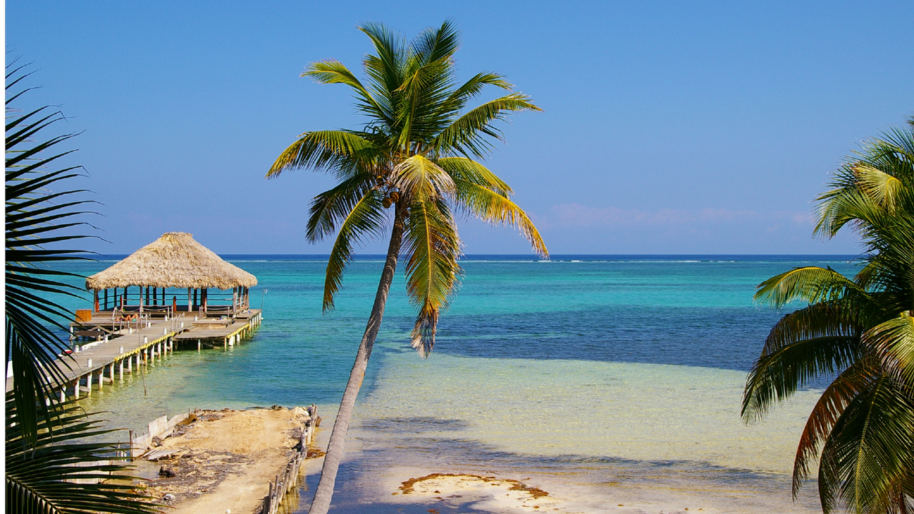 Palm trees and dock at a resort in Ambergris Caye Belize