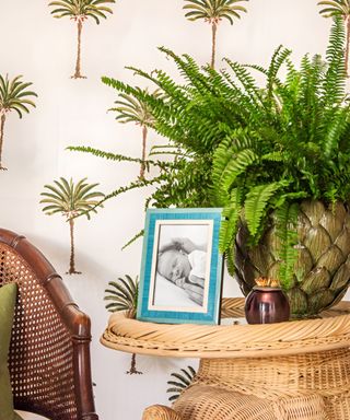 An entryway with a rattan table with plants and a photo frame on it featuring a black and white image of a sleeping baby with a parent's hands around head and arm, with a palm tree wallpaper in the background