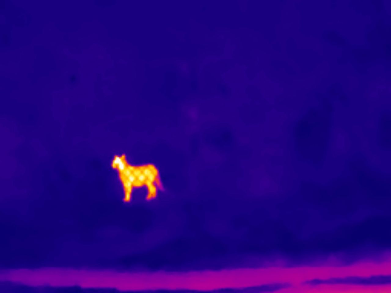 Thermal Master T2 Max sample.