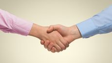 A man and woman shake hands, only their hands showing.