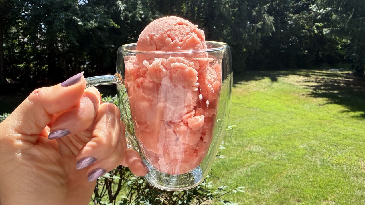 Ninja Creami watermelon sorbet