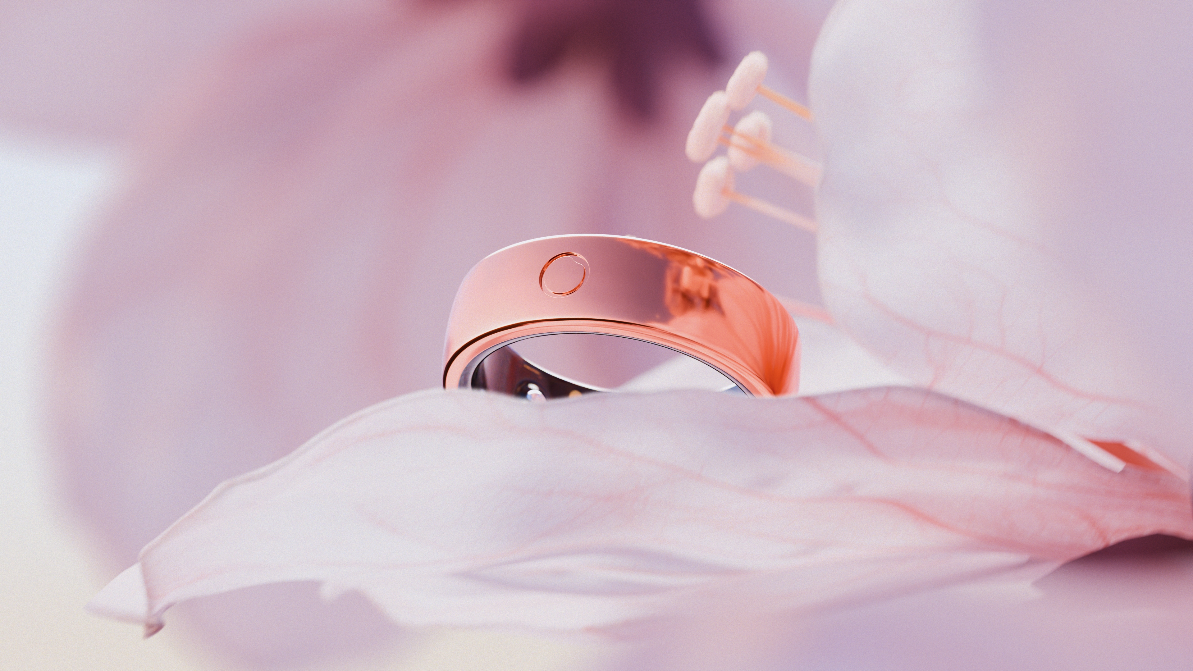 A press photo of the rose gold Circular Ring 2 sitting on a rose petal