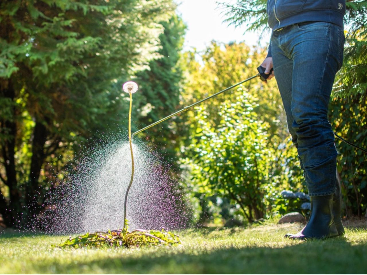 Herbicides Being Sprayed Onto Plants