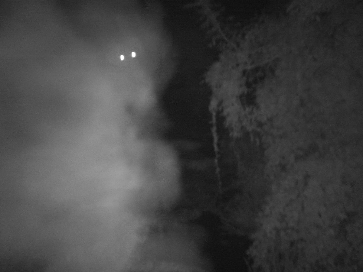 DOOGEE S98 Pro review: Night Vision Camera