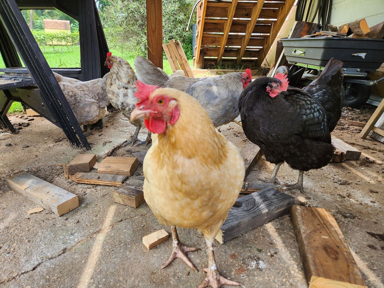 Daytime camera samples from the Galaxy Z Fold 4