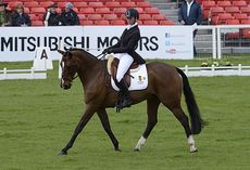 Lauren Shannon riding Zero Flight at Badminton Horse Trials
