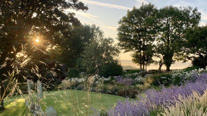 Changing garden design habits, large garden with a sunset