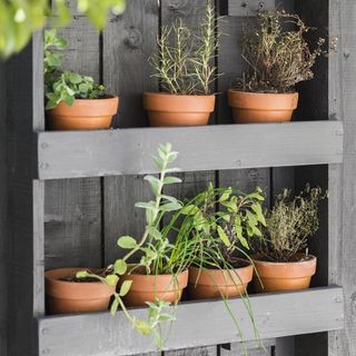 grey shelve with brown plant pot