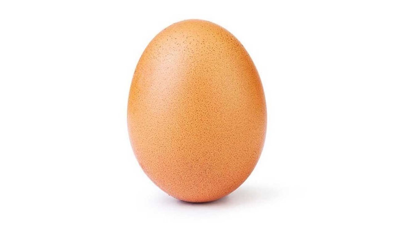 An egg