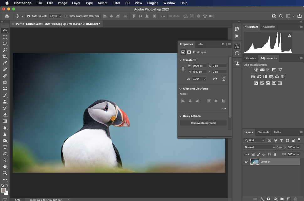 How to remove background in Digital Camera World