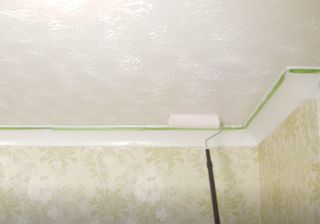 paint the ceiling with paint roller