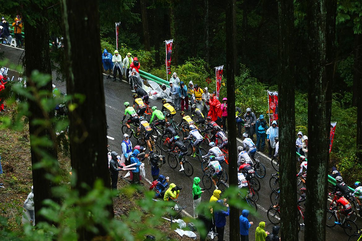 The peloton making its way through the woods