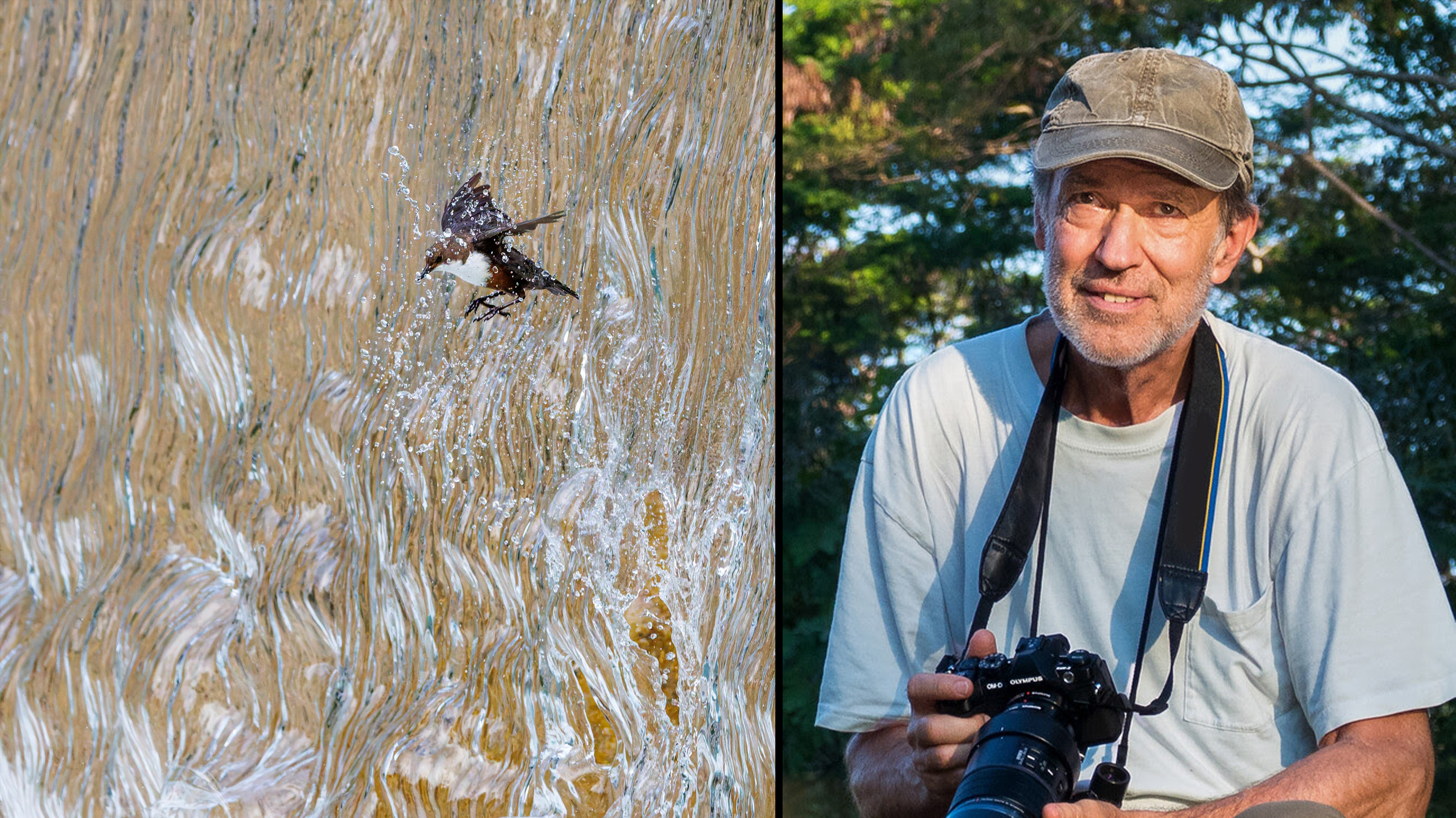 This mesmerizing photograph of a bird behind a waterfall isn’t just impressive, it proves how far camera tech has come