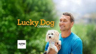 Host holding a dog with the logo for the Lucky Dog Channel