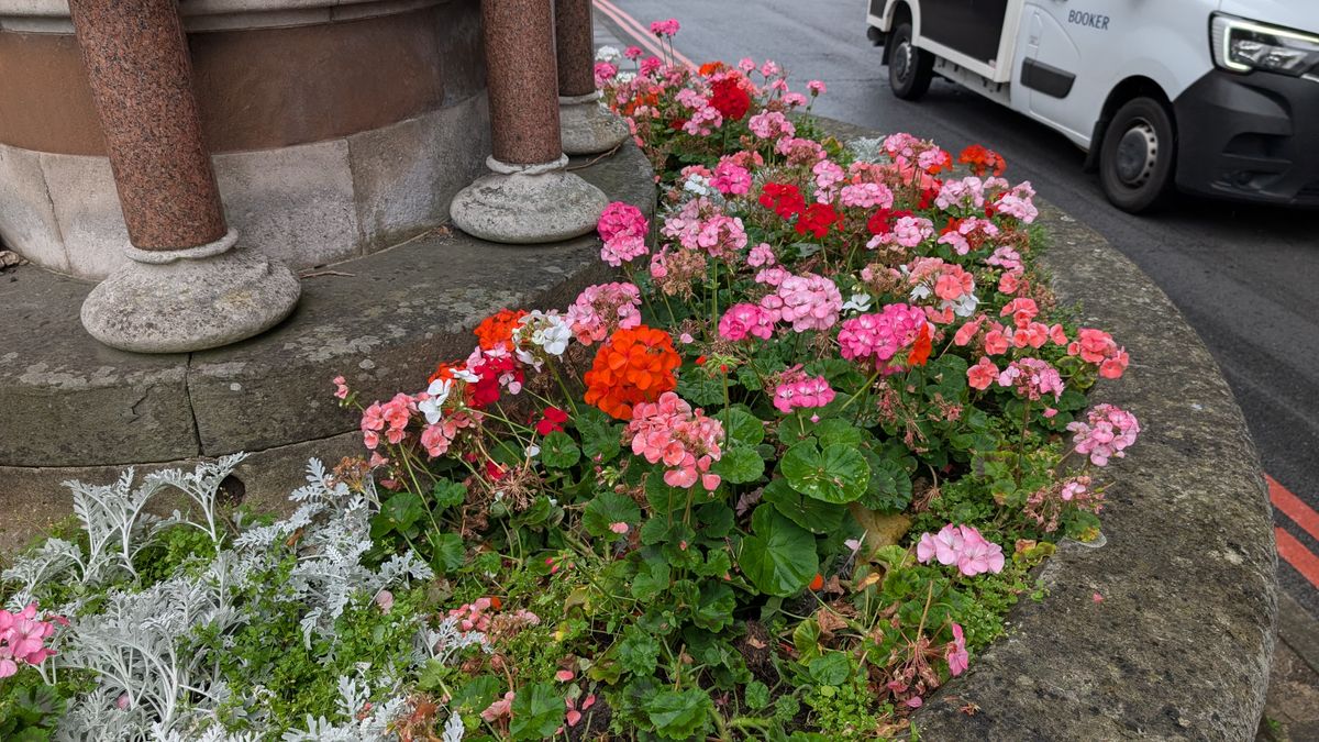 200 photos pixel 9 vs pixel 8a - color reproduction on pixel 9