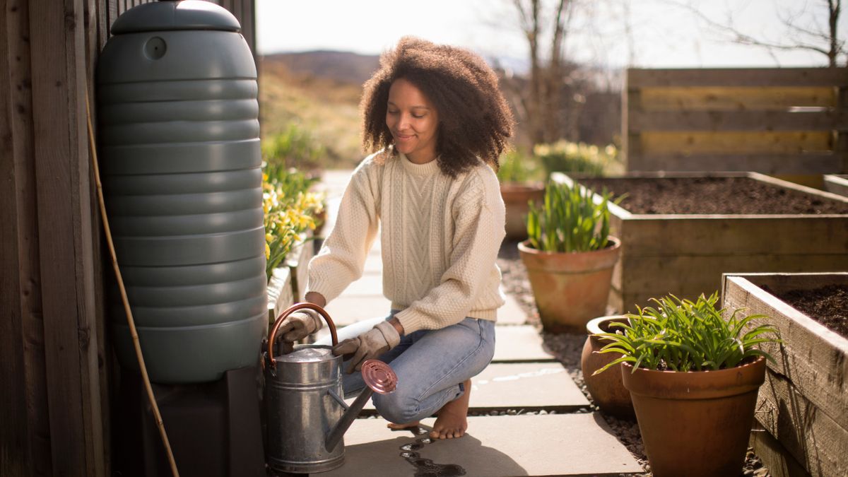 Rainwater Harvesting - Eco friendly home