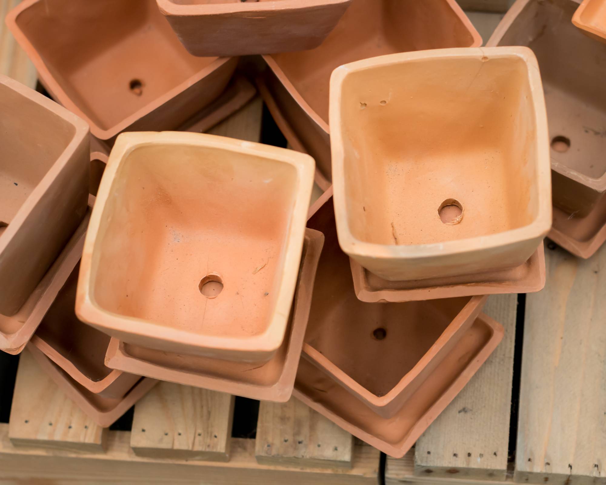 Terracotta plant pots with drainage holes