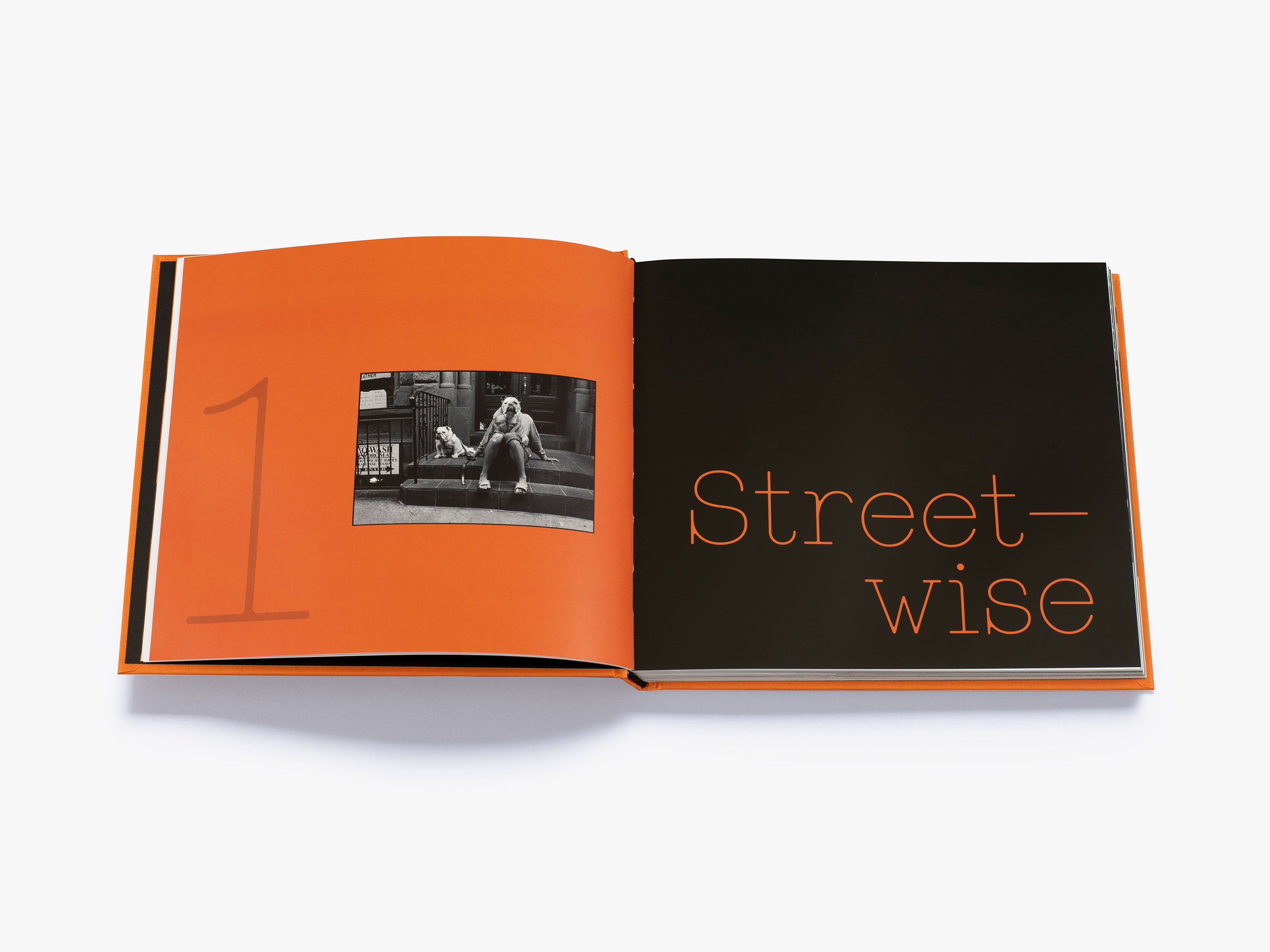 Magnum Dogs book March 2021 image 6