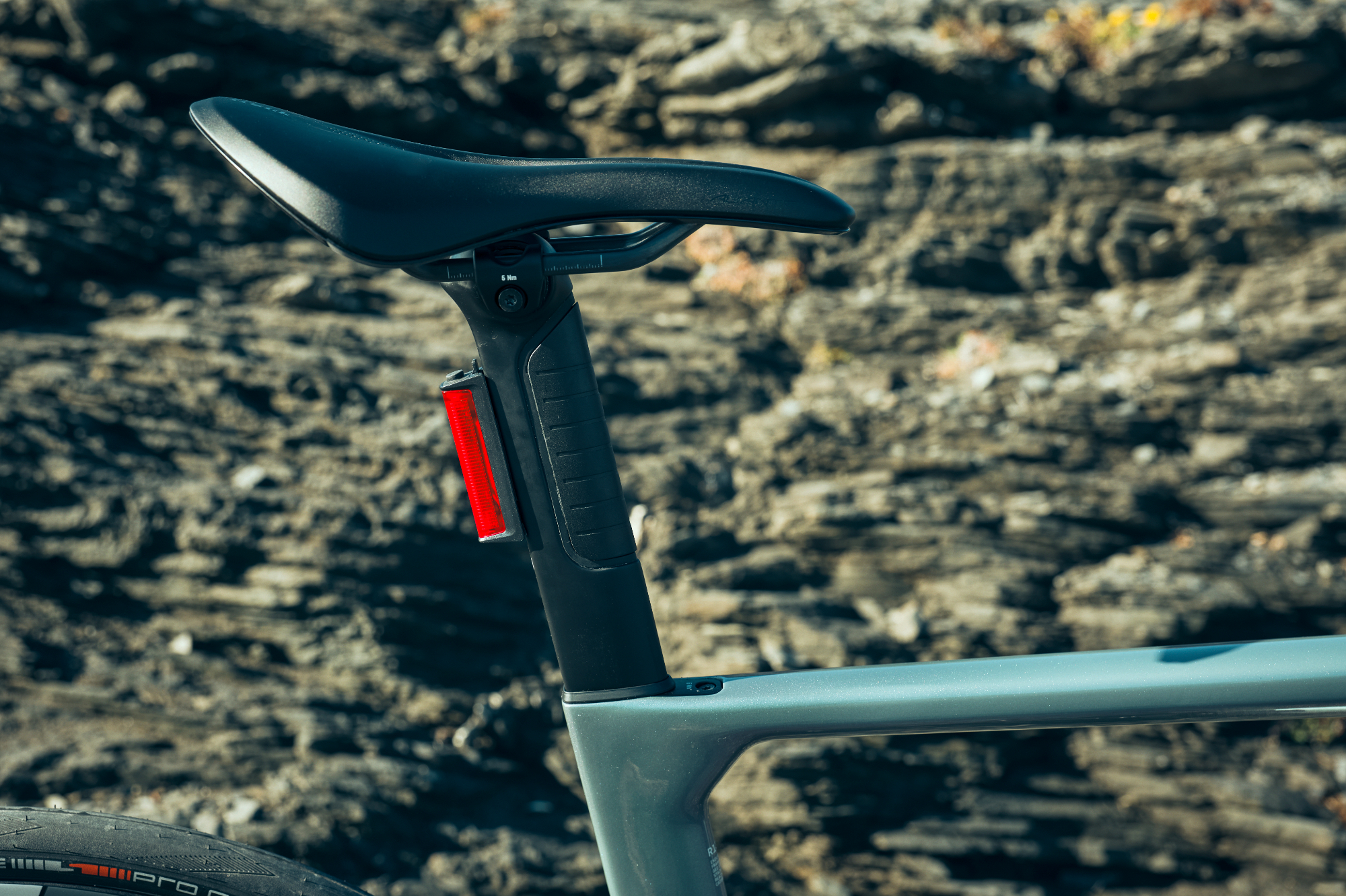 Canyon Endurace SLX CF seat post detail