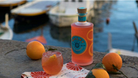 Malfy Gin Con Arancia