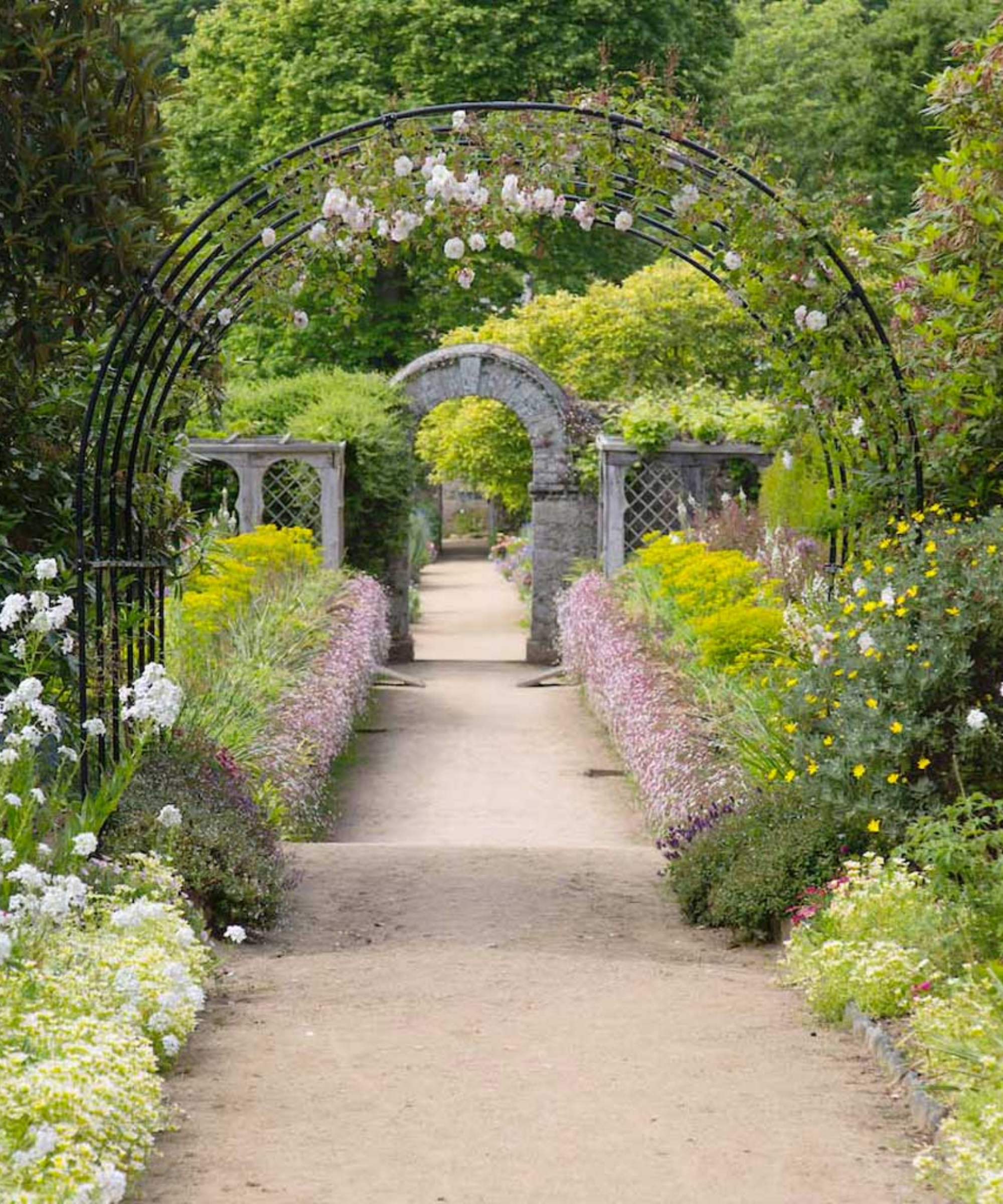 metal pergola over walkway with roses growing across the roof