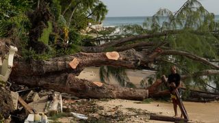 A worker chops at uprooted trees along the shoreline of St. James, Barbados on Tuesday, July 2.
