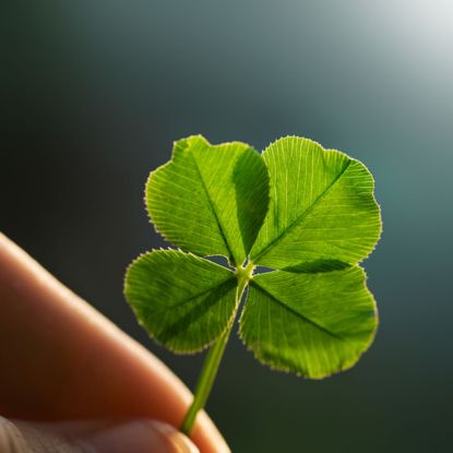 Fingers Holding Four Leaf Clover