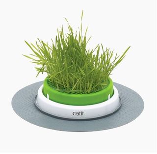 Catit Senses cat grass planter