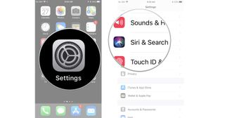 Tap settings, then tap Siri and Search