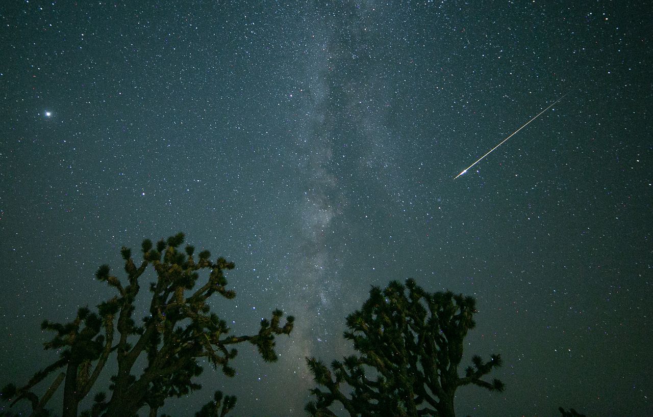 perseids