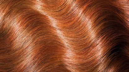 an image of glossy auburn hair, to depict story for how often should your cut your hair