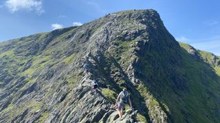 Sharp Edge in summer