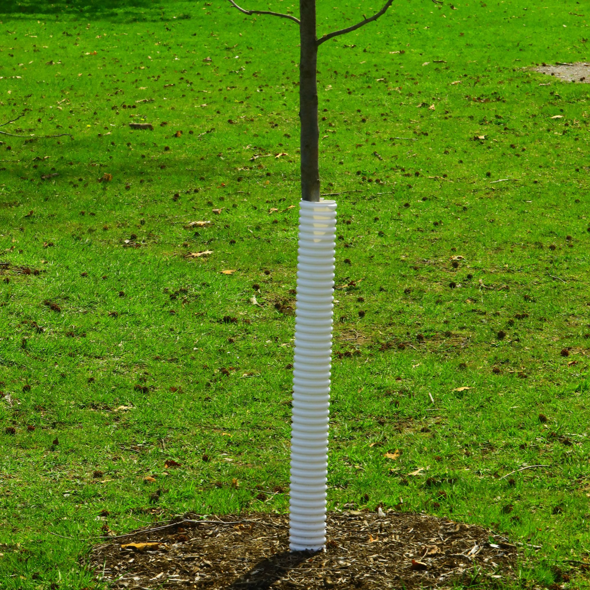Young tree protected with tree guard in garden