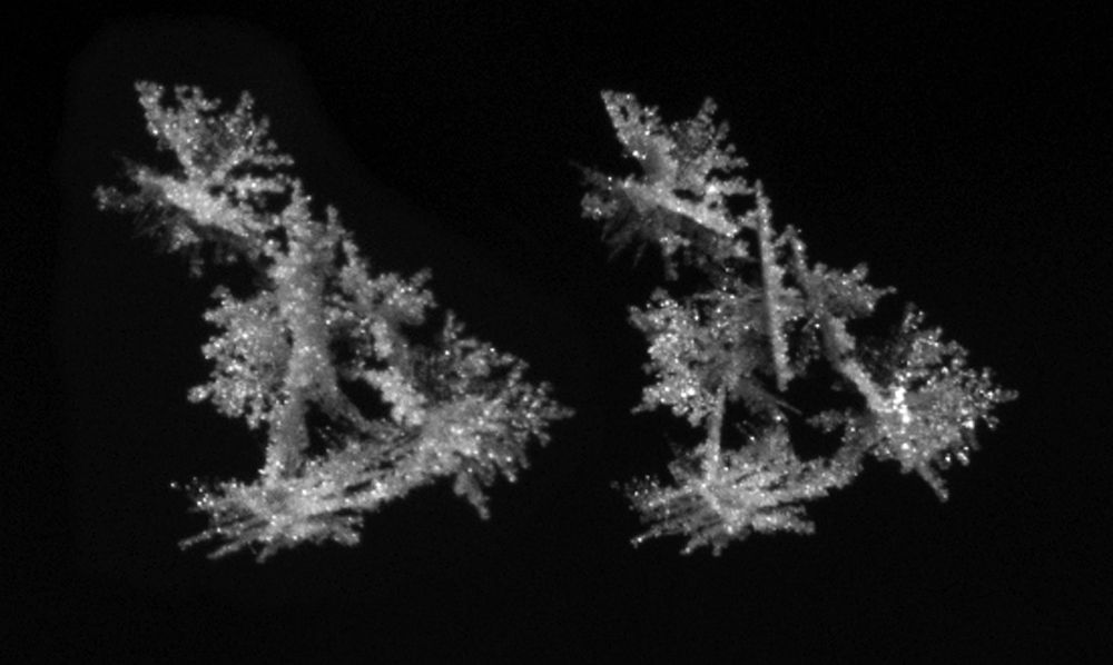 Stereo snowflake photo