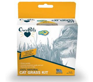 Our Pets cat grass growing kit