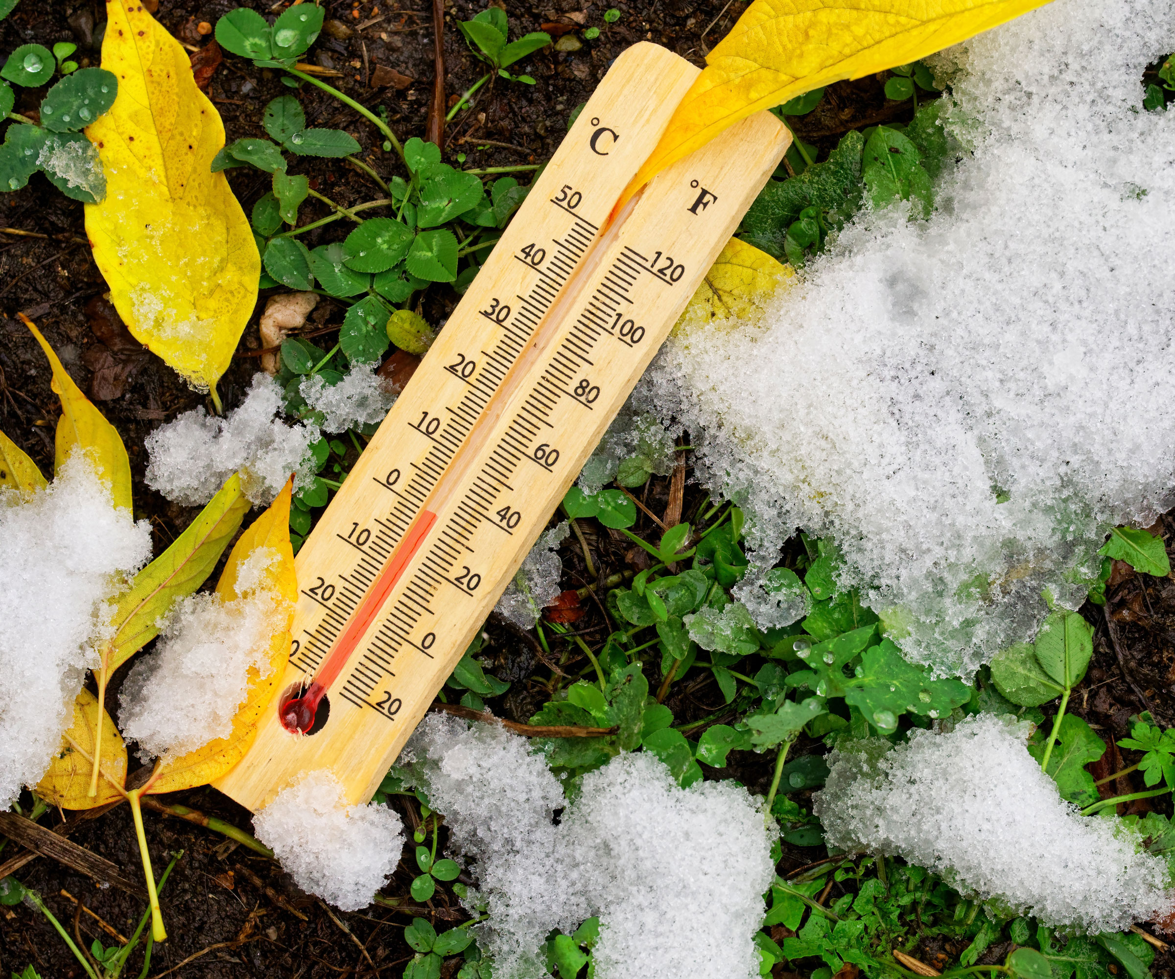 thermometer lying in ground full of snow