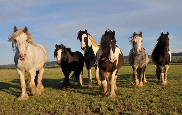 Best Breakfast Club after at Redwings 2